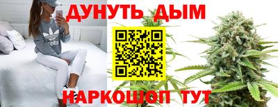 apvp Новодвинск
