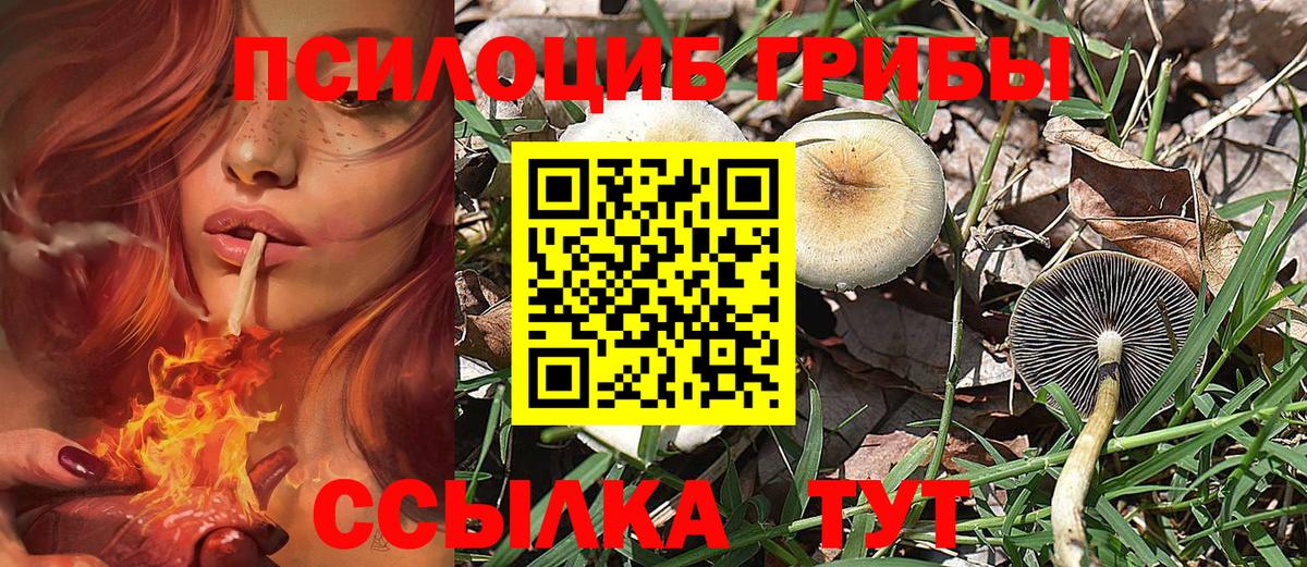 Псилоцибиновые грибы мицелий Рассказово